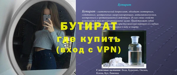 шишки Горняк