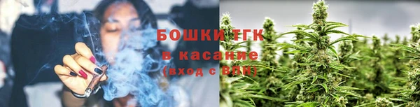 соль ск Горнозаводск
