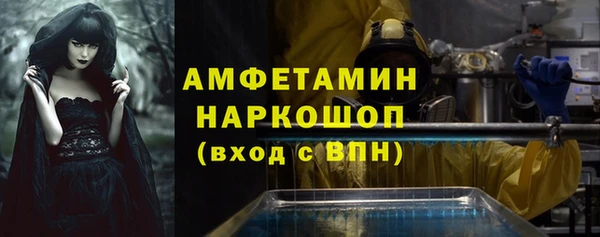 шишки Горняк