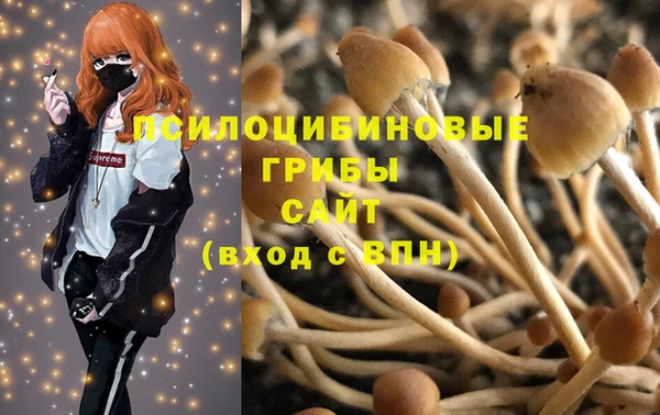 мдпв Дмитриев