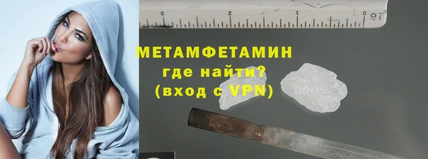 шишки Горняк