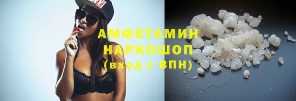 шишки Горняк