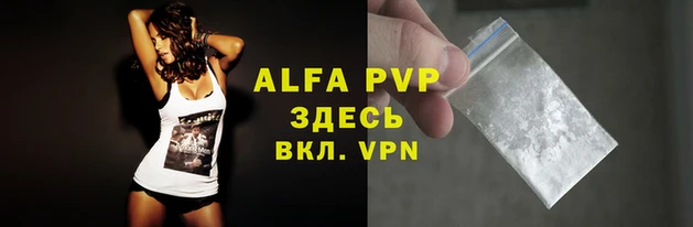 шишки Горняк