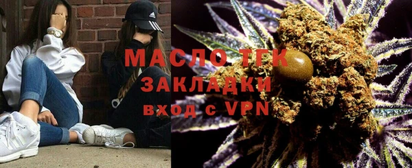 шишки Горняк