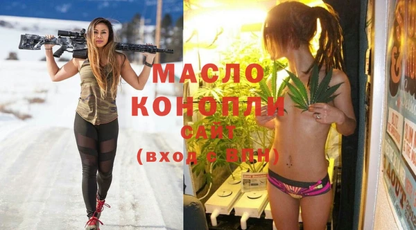 шишки Горняк