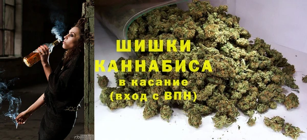 шишки Горняк