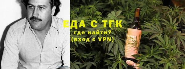шишки Горняк