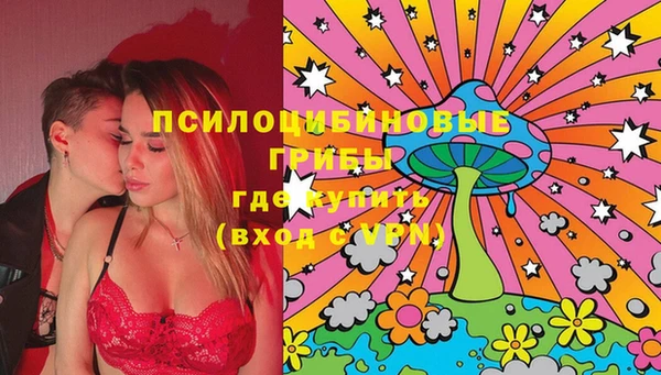 соль ск Горнозаводск