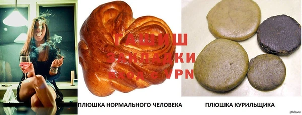 шишки Горняк