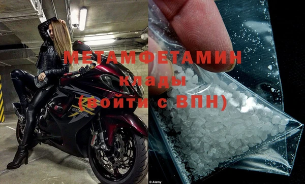 шишки Горняк