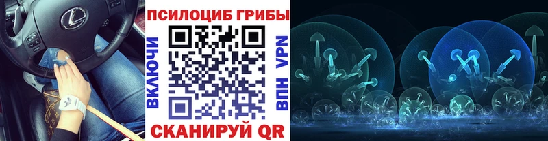 Псилоцибиновые грибы Psilocybine cubensis Купить где Калач-на-Дону
